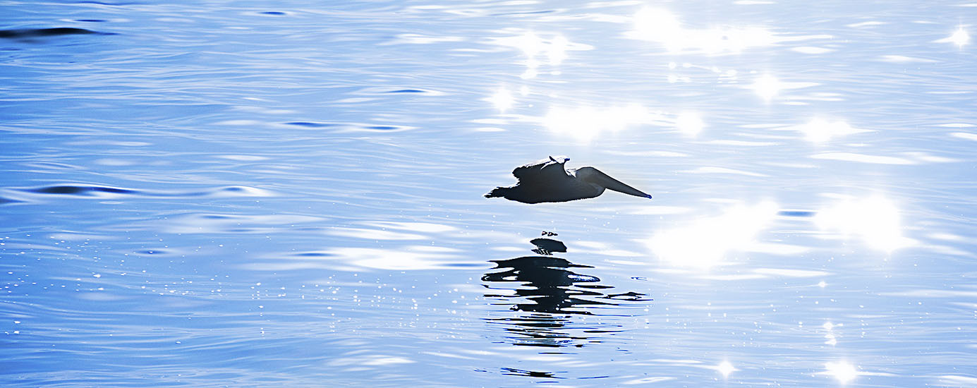 Landscape Photography