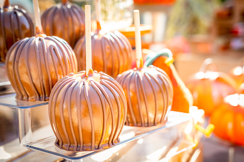 Landscape Photography