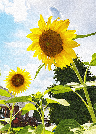 Landscape Photography