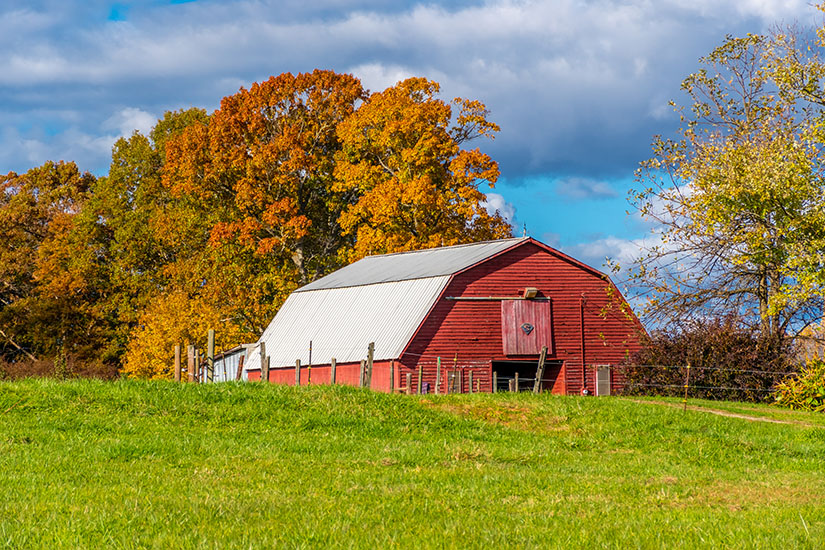 Landscape Photography