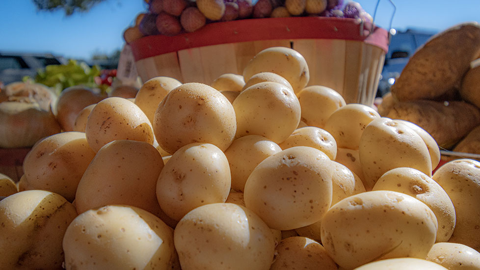 Landscape Photography