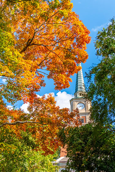 Landscape Photography