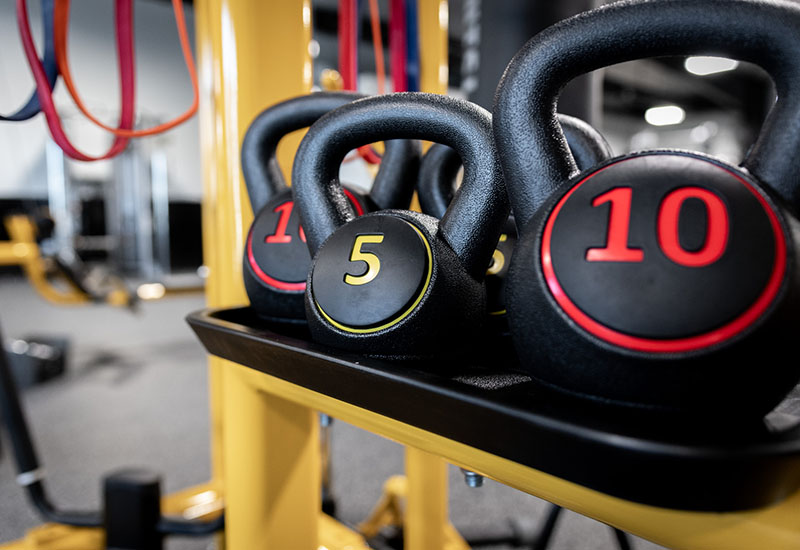 Portrait Photography